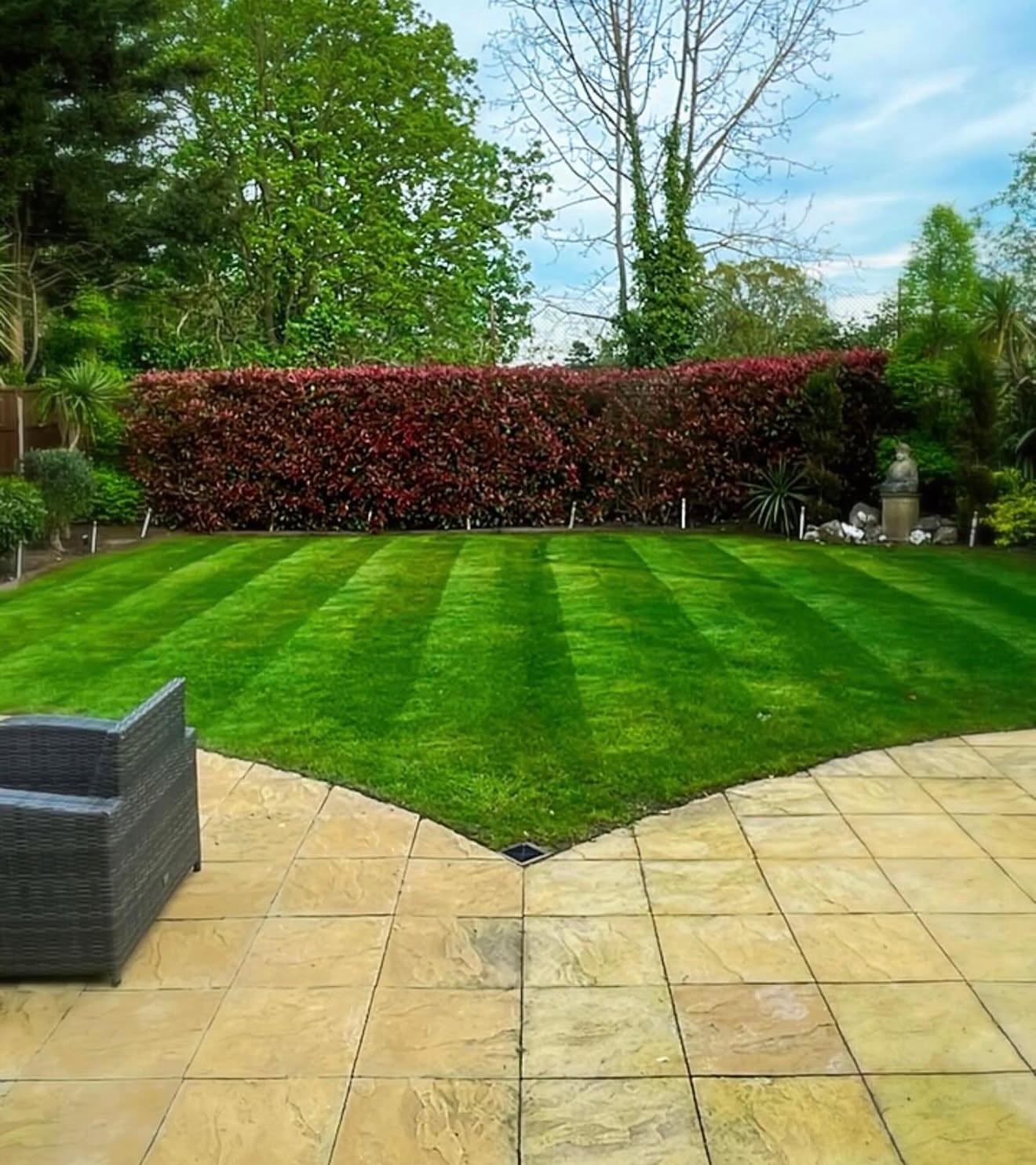 Beautiful well-maintained garden